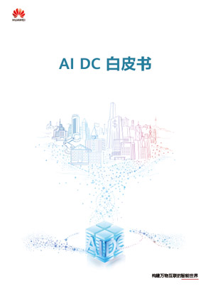 AI DC 白皮书